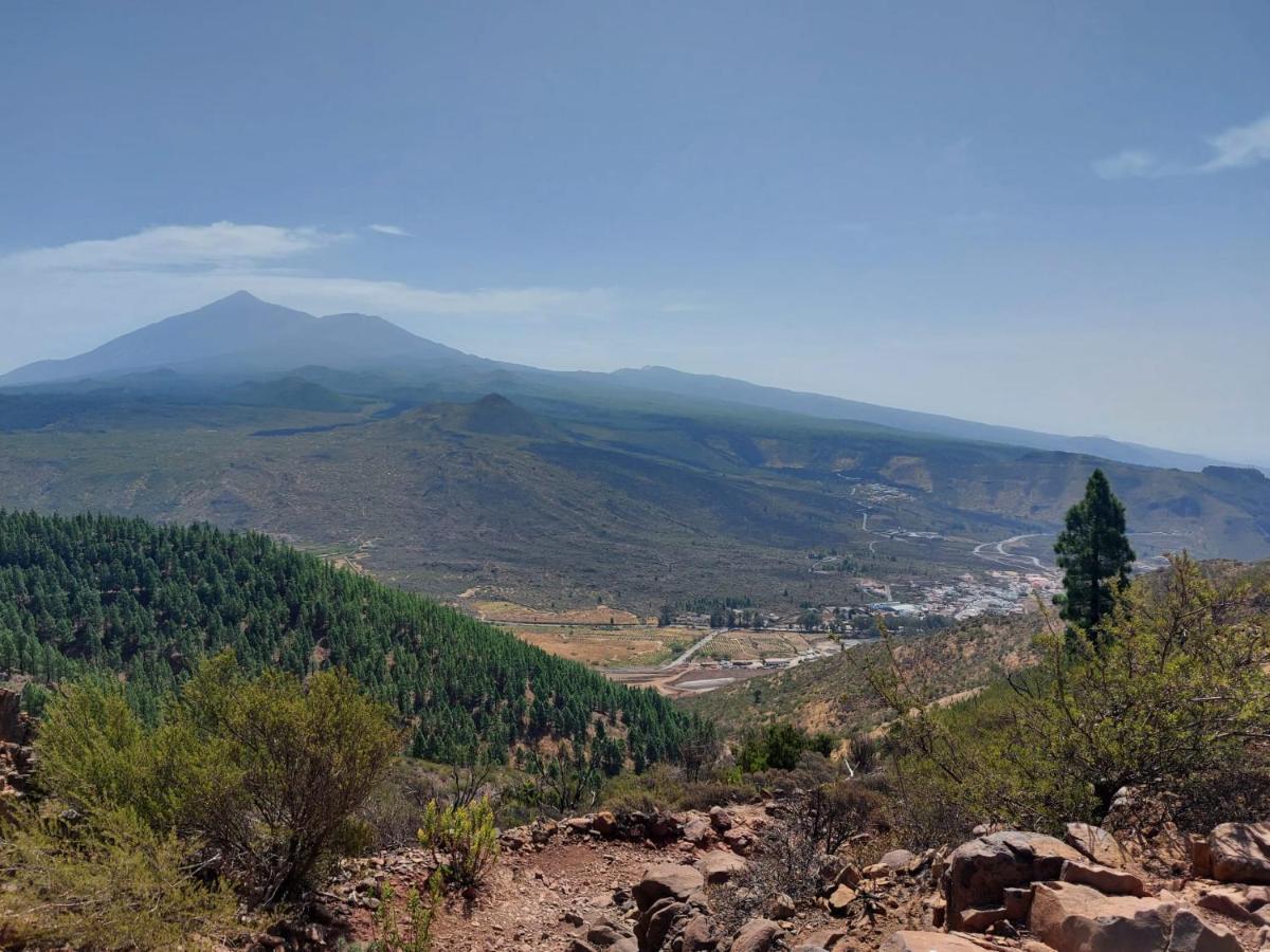Villa Vista Del Drago Icod De Los Vinos Esterno foto
